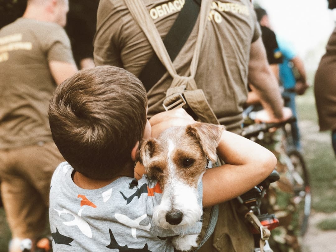 free service dogs for veterans. Man in gray crew neck t-shirt carrying brown and white short coated dog