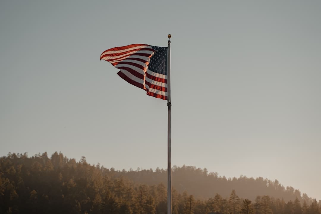 free service dogs for veterans. Us a flag on pole during daytime