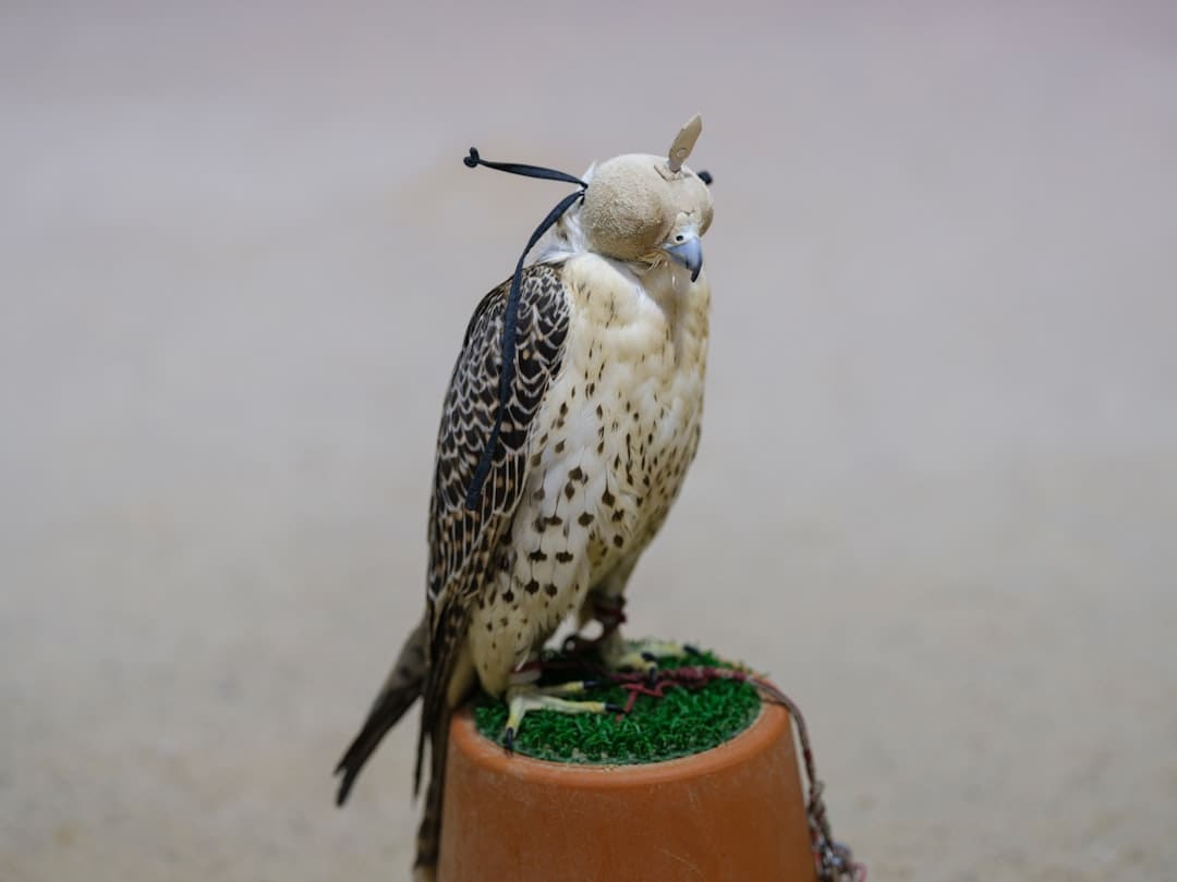 veteran service dog training — A bird sitting on top of a potted plant